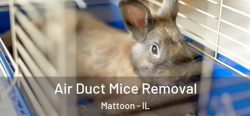  Air Duct Mice Removal Mattoon - IL
