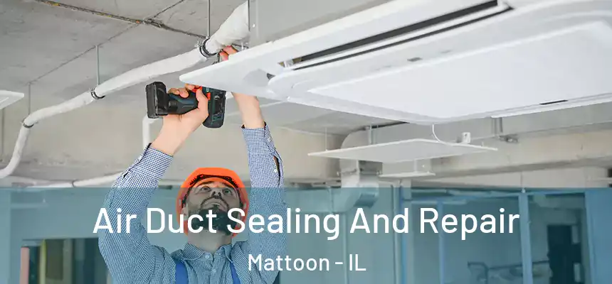 Air Duct Sealing And Repair Mattoon - IL