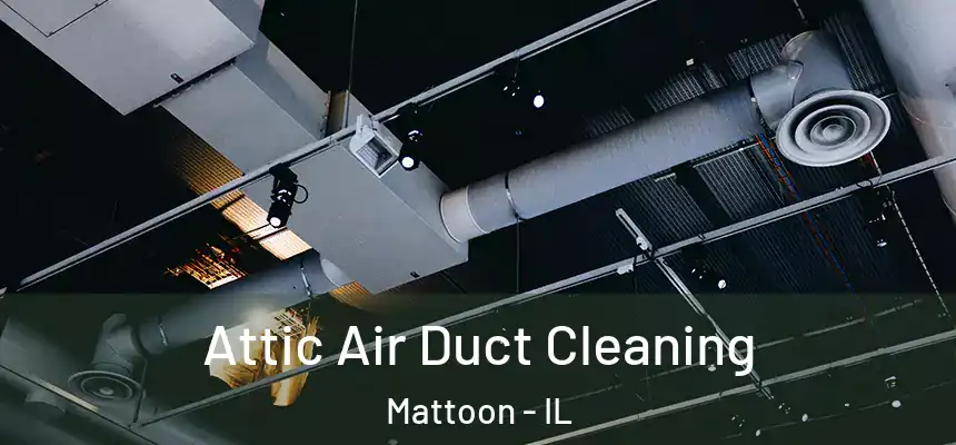  Attic Air Duct Cleaning Mattoon - IL