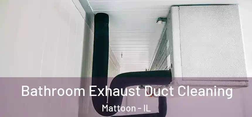  Bathroom Exhaust Duct Cleaning Mattoon - IL