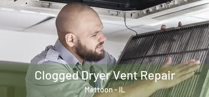  Clogged Dryer Vent Repair Mattoon - IL