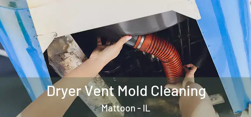  Dryer Vent Mold Cleaning Mattoon - IL