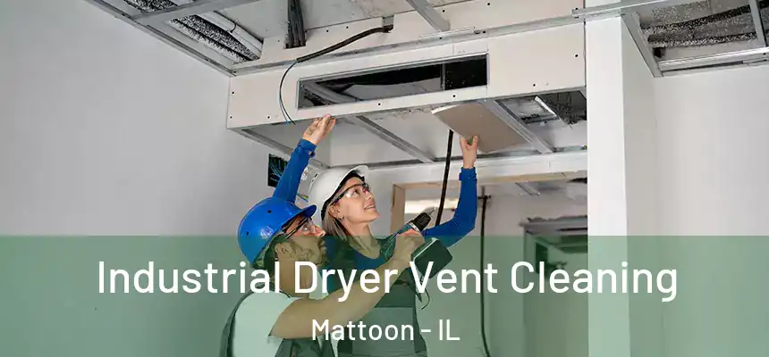  Industrial Dryer Vent Cleaning Mattoon - IL