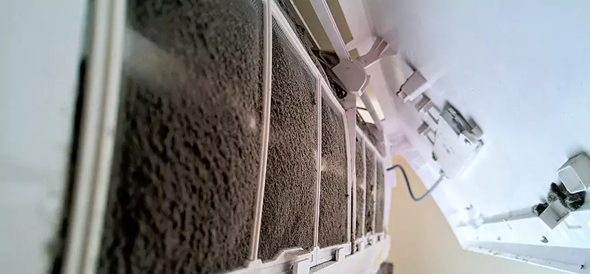 Preventive Air Duct Bacteria Removal in Mattoon