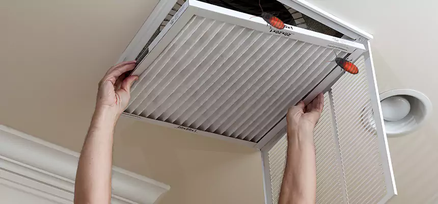 Preventive Cockroach-Proofing for Ducts in Mattoon