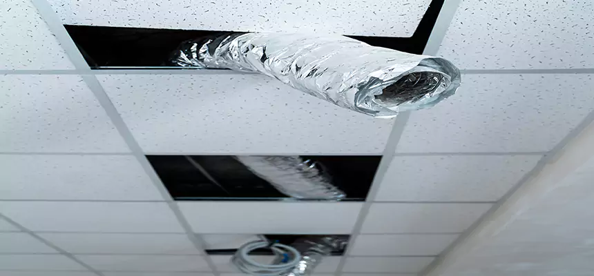 Our Air Duct Pet Hair Removal Services in Mattoon, IL