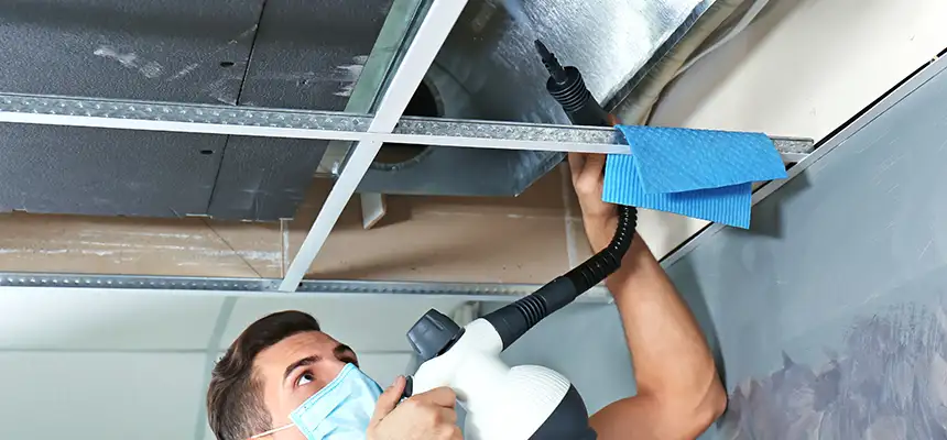 Our Air Duct Rodent Removal Services in Mattoon, IL