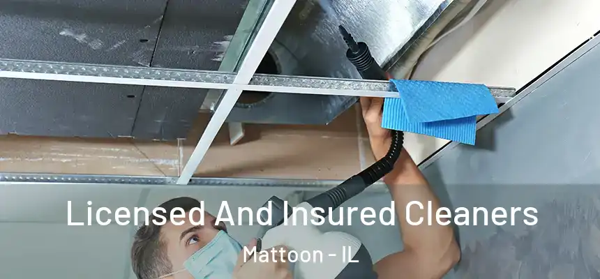  Licensed And Insured Cleaners Mattoon - IL