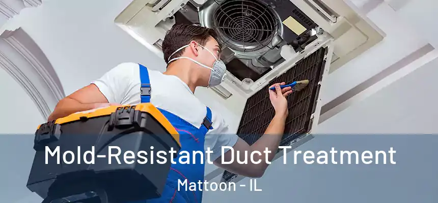  Mold-Resistant Duct Treatment Mattoon - IL