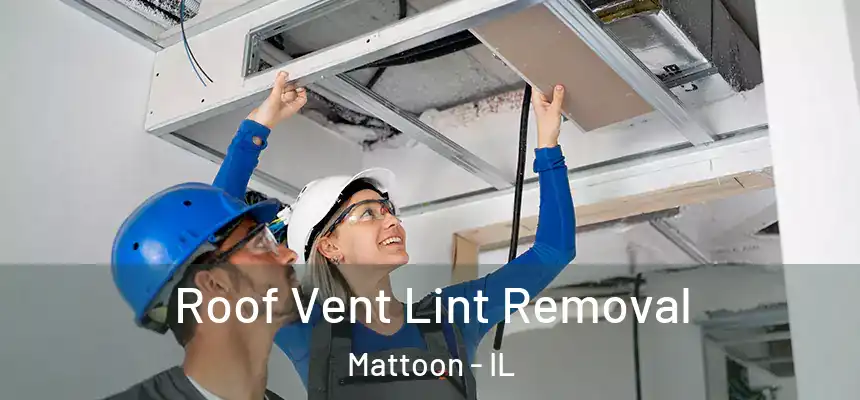  Roof Vent Lint Removal Mattoon - IL