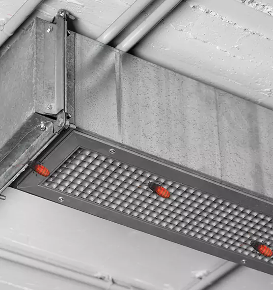 About Air Duct Cockroach Removal in Mattoon, IL