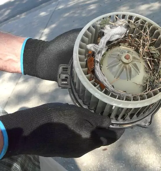 About Air Duct Rat Removal in Mattoon, IL