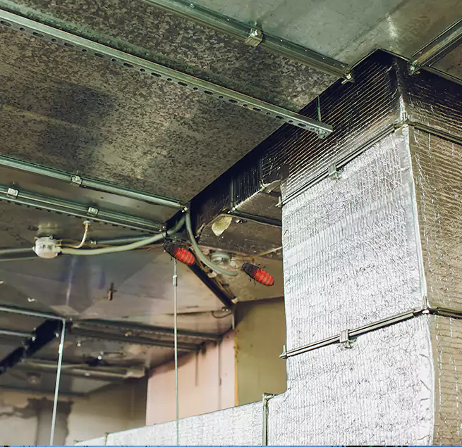 Why Homeowners & Businesses Trust Us in Mattoon, IL?